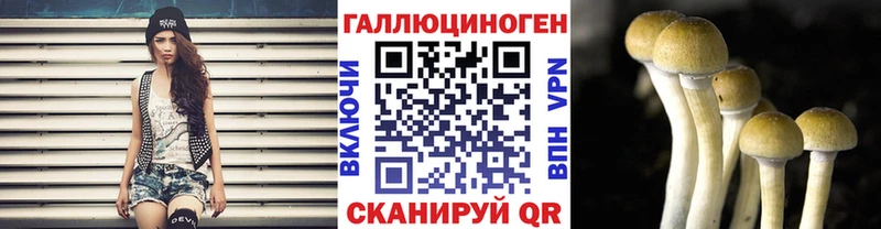 Псилоцибиновые грибы MAGIC MUSHROOMS  купить   Богородицк 