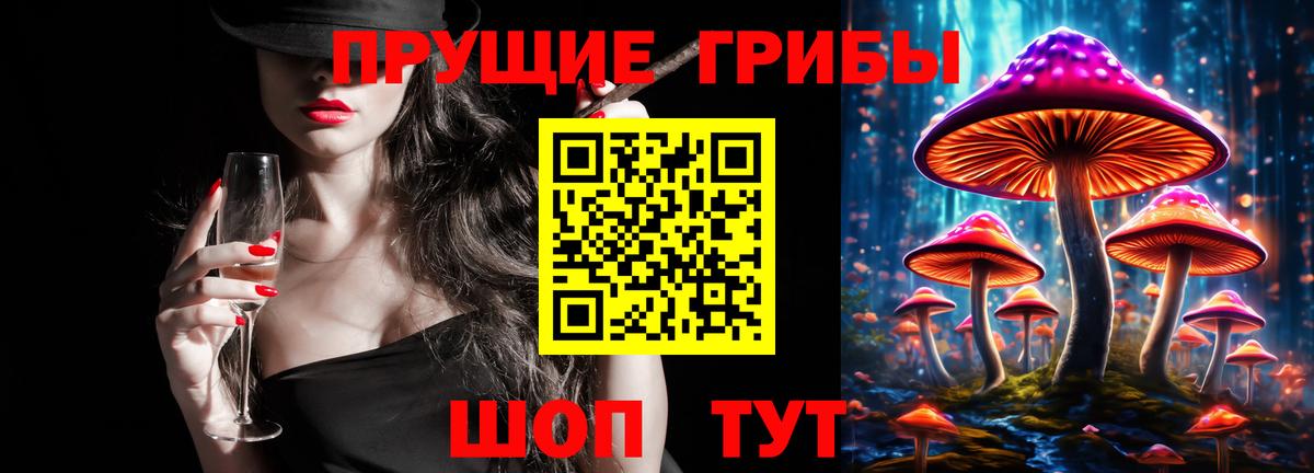 Галлюциногенные грибы Psilocybe Богородицк
