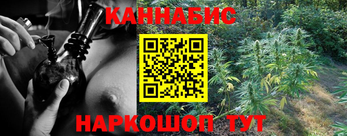 Бошки Шишки конопля Богородицк